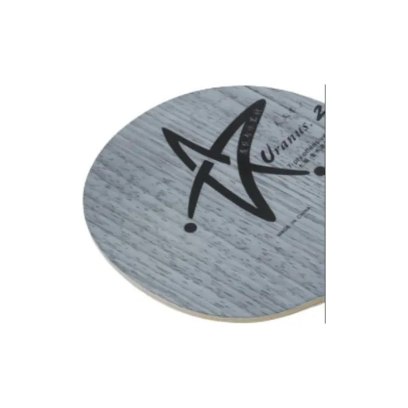 YINHE Ping Pong Paddles-2