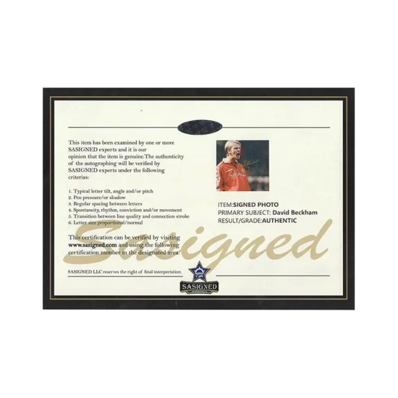 Yi Shot Photo SA Certificate Included Framed Collection-7