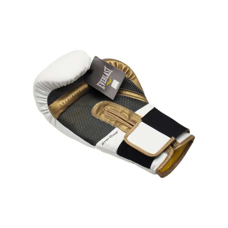 Everlast Boxing Gloves-3