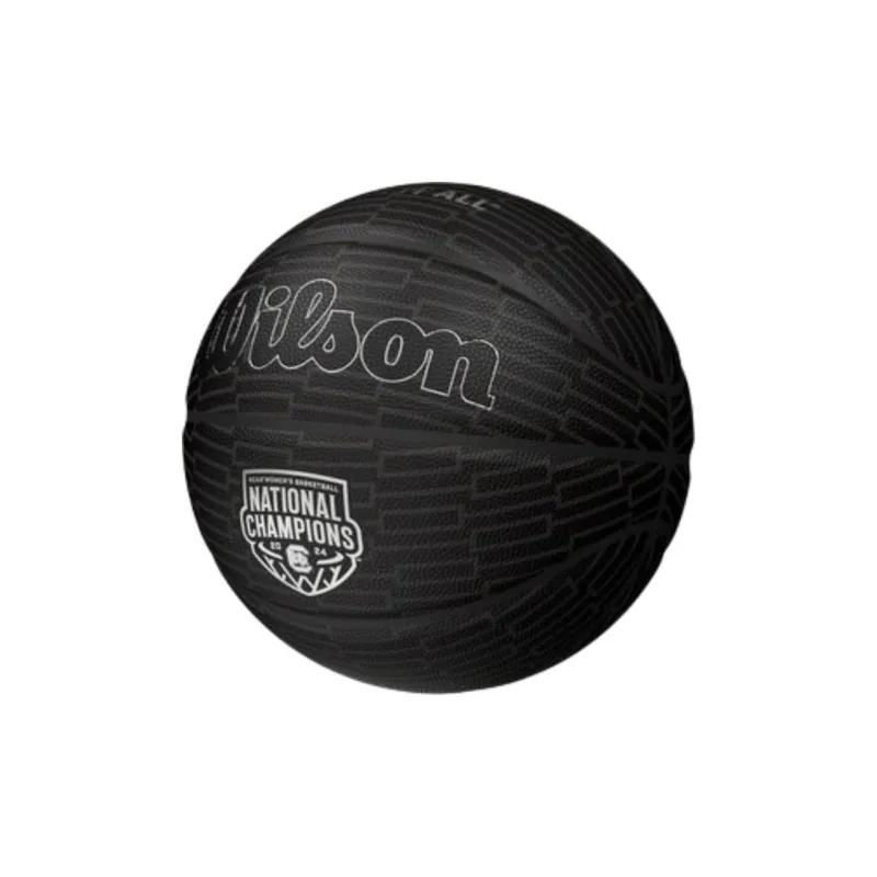 Wilson Basketball-2