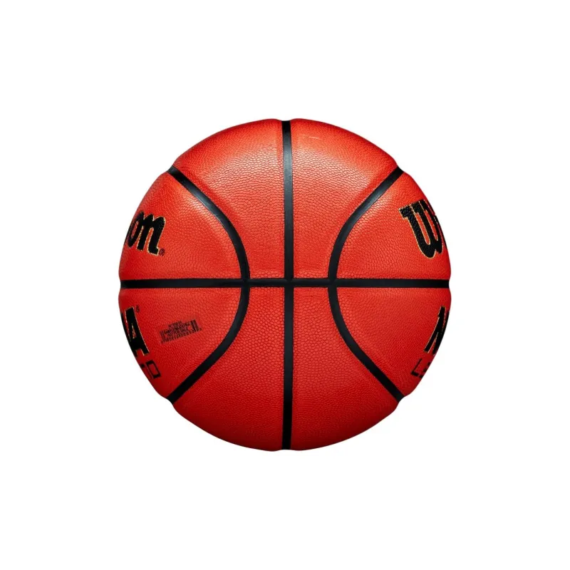 Wilson Basketball-4