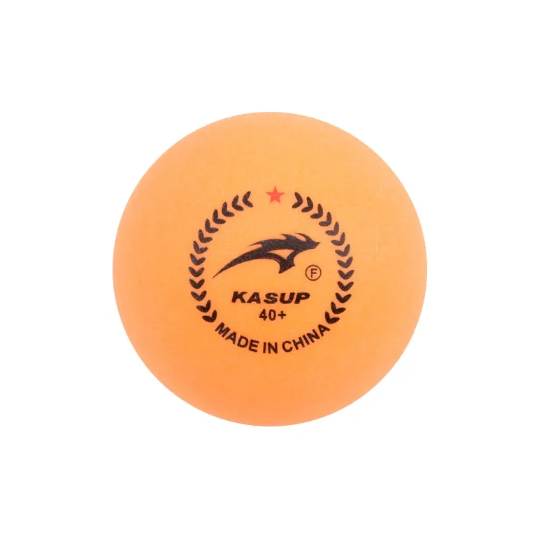 KASUP Table Tennis-2