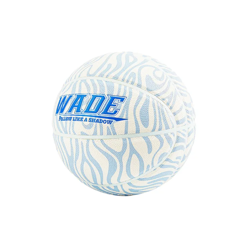 WADE Basketball-3