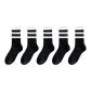 Black and White Double Stripe 5