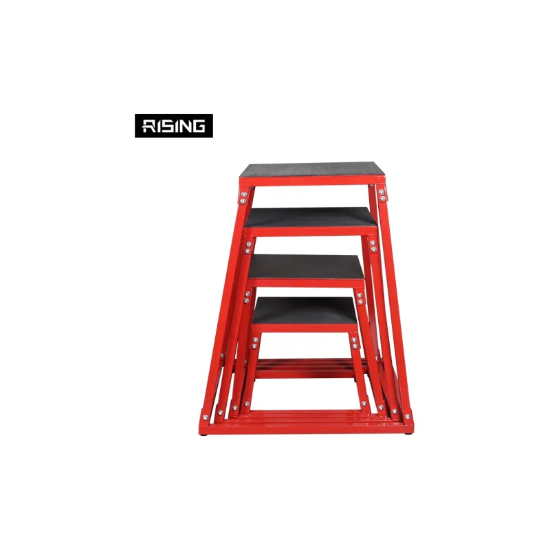 Ruisi Fitness Equipment-2