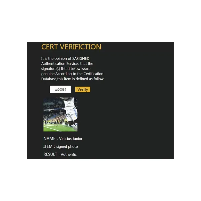Three For Vinicius Or Vinicius Junior Real Madrid Player Signed Photo With SA Certificate Collection-5