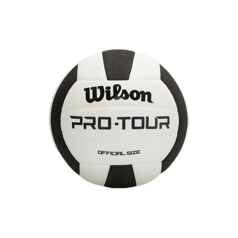 Wilson Volleyball-1