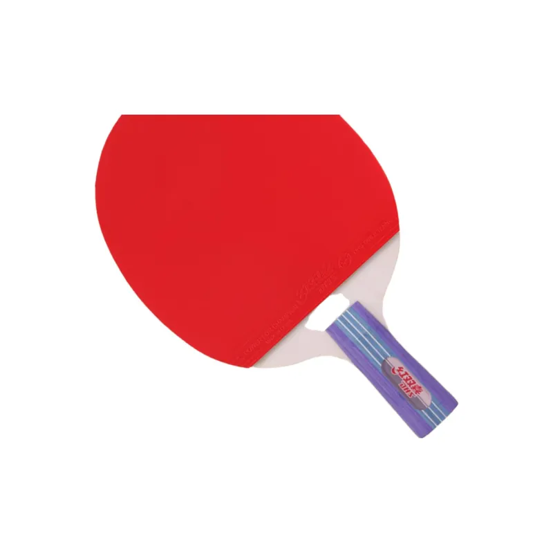 DHS Ping Pong Paddles-1