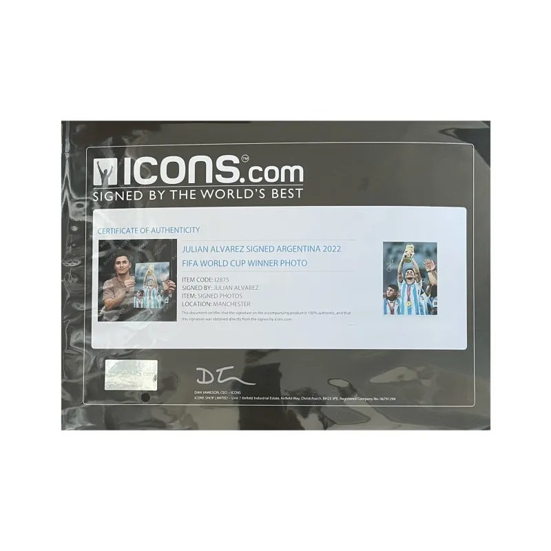 ICONS.com Alvarez Includes Certification Certificate, Outer Frame Size 38.6x48.6cm-1