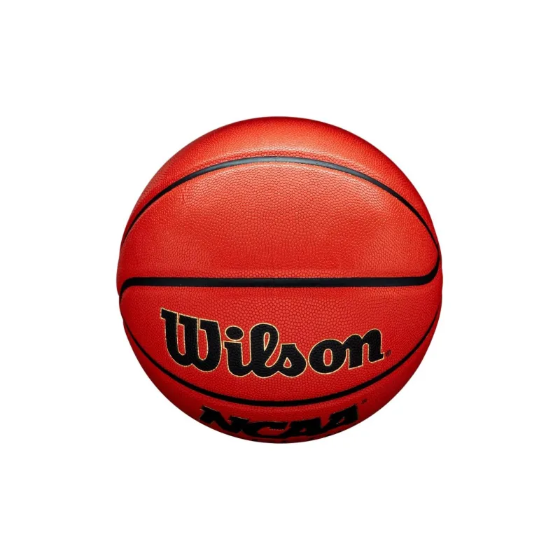 Wilson Basketball-3