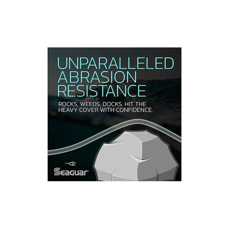 SEAGUAR Fish Line-1