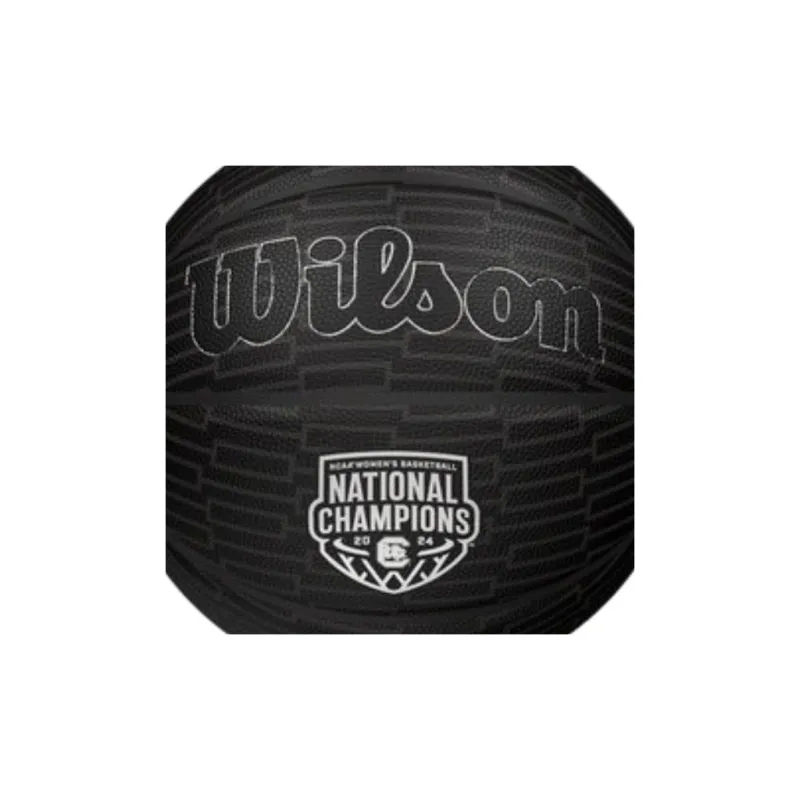 Wilson Basketball-4