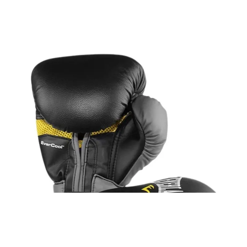 Everlast Boxing Gloves-1