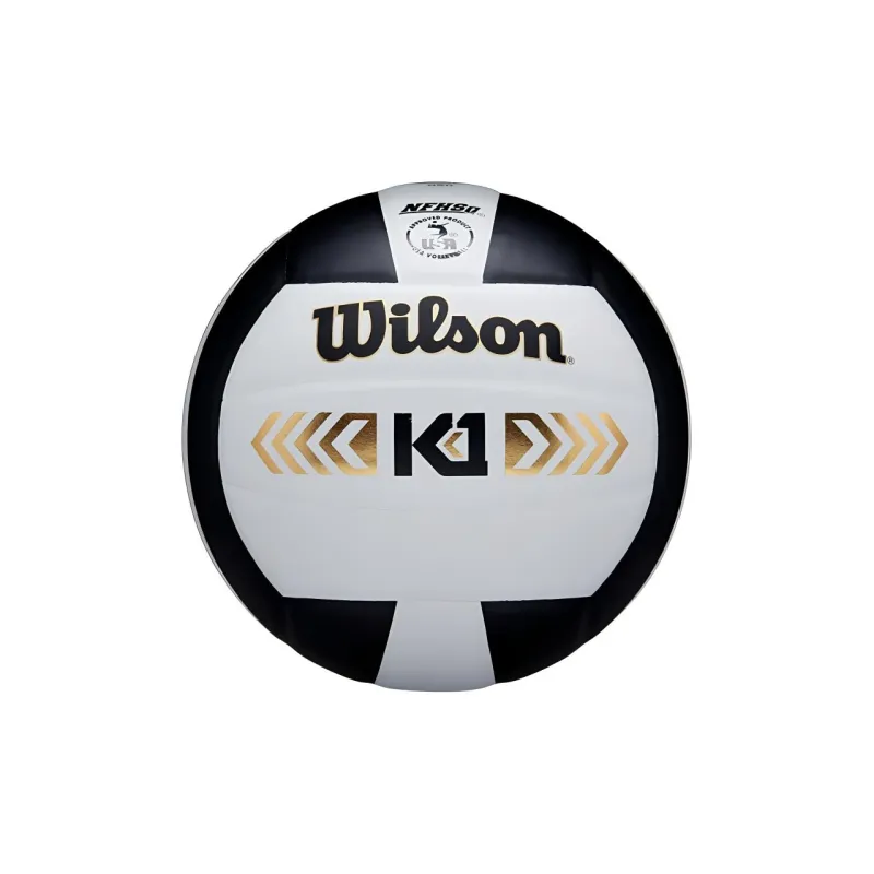 Wilson Volleyball-3