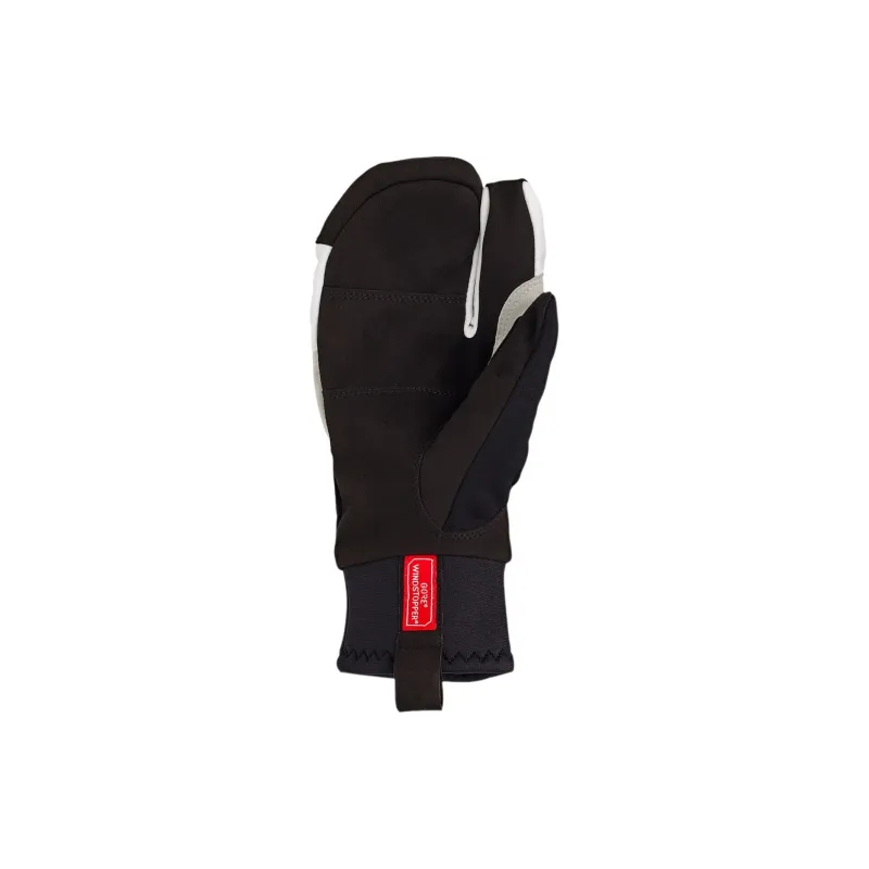 HESTRA Ski Gloves Mittens Men's-1