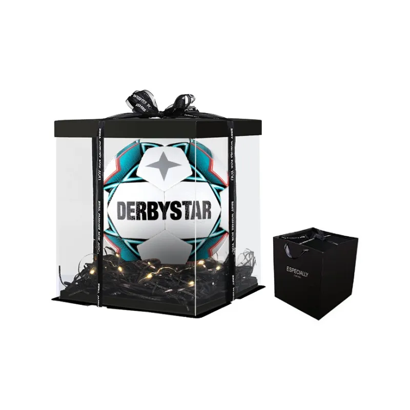 DERBYSTAR Soccer-6