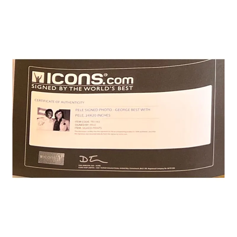 Huayitaojin 24 Inches Photo Icon Official Partner Company Certificate Framed 63x73cm Men's Treasured Edition-2