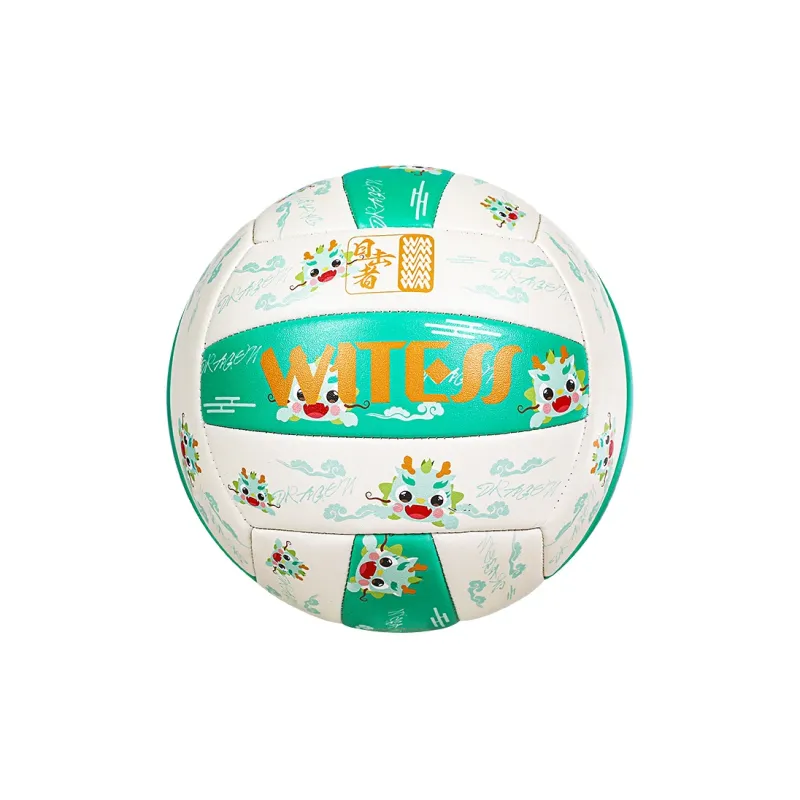 WITESS Volleyball-9