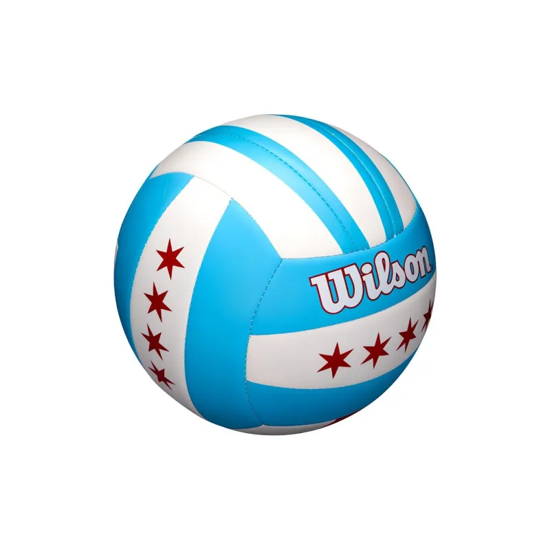 Wilson Volleyball-3