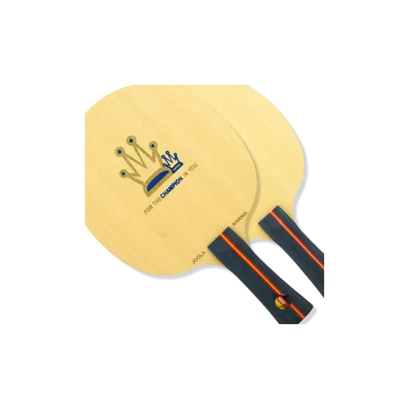 JOOLA Ping Pong Paddles-2