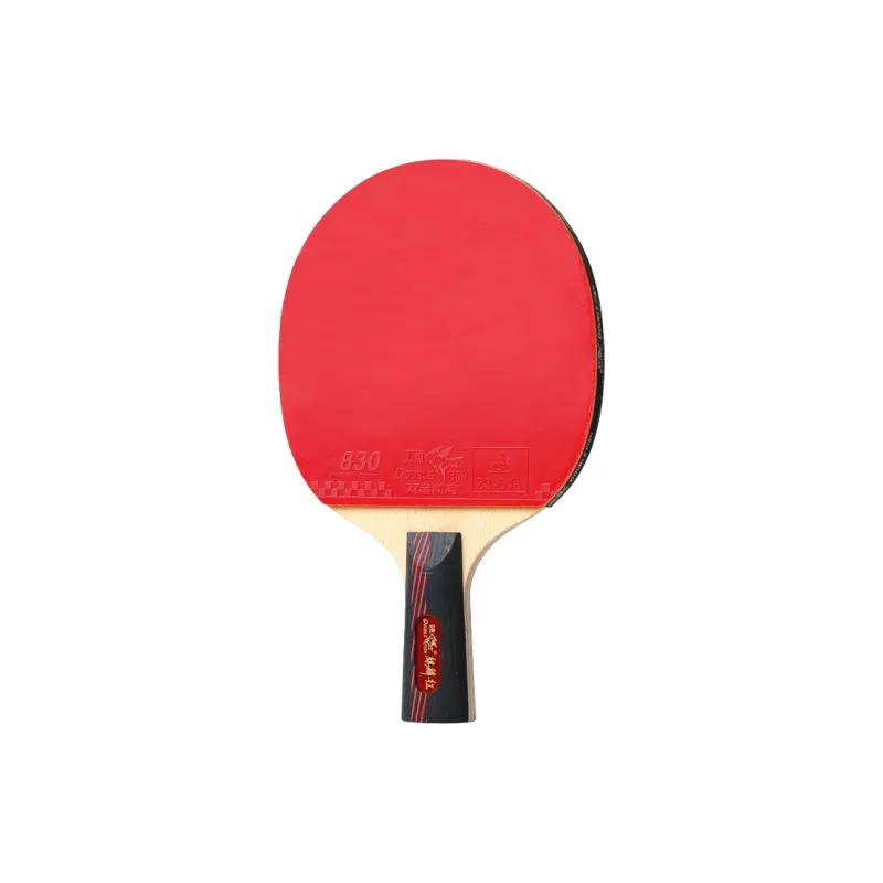 DOUBLE FISH Ping Pong Paddles-1