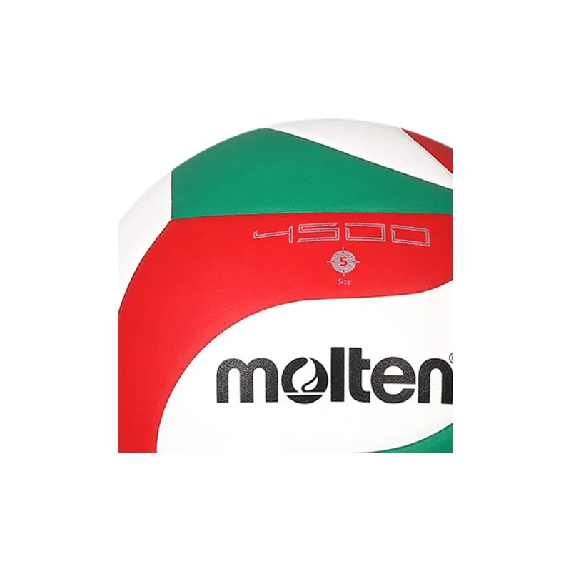 Molten Volleyball-1