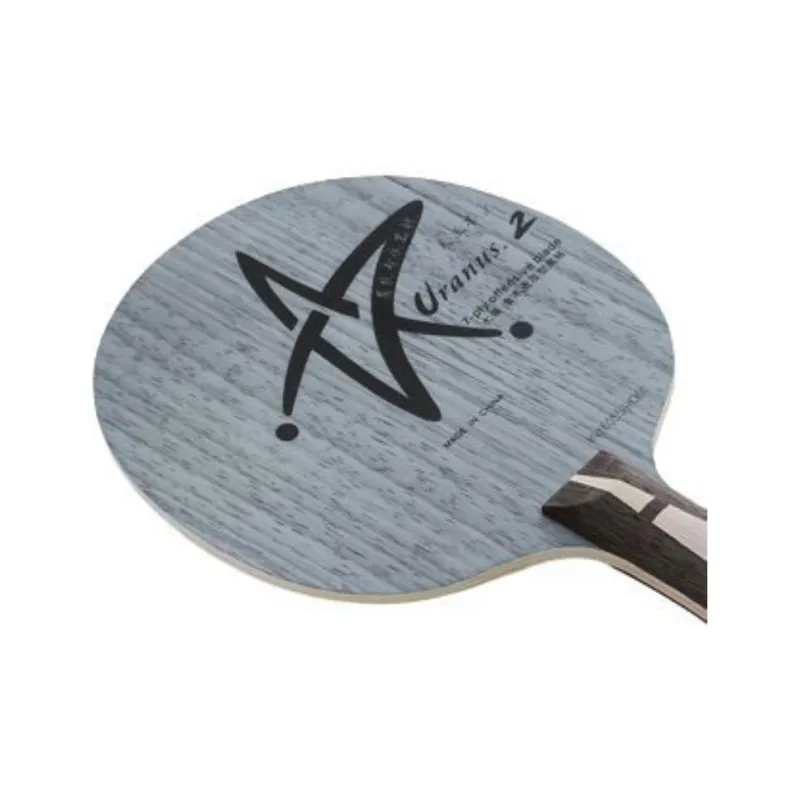 YINHE Ping Pong Paddles-4