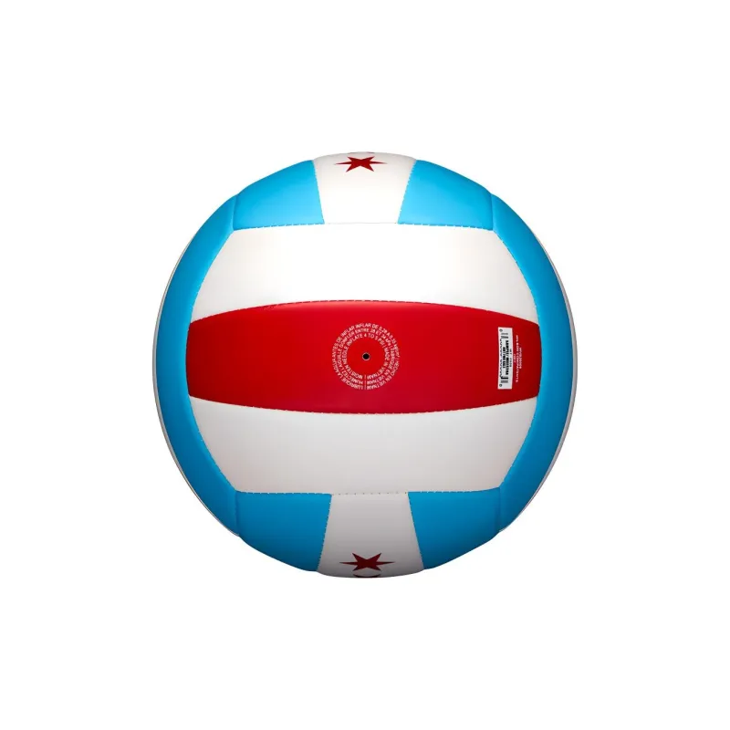 Wilson Volleyball-5