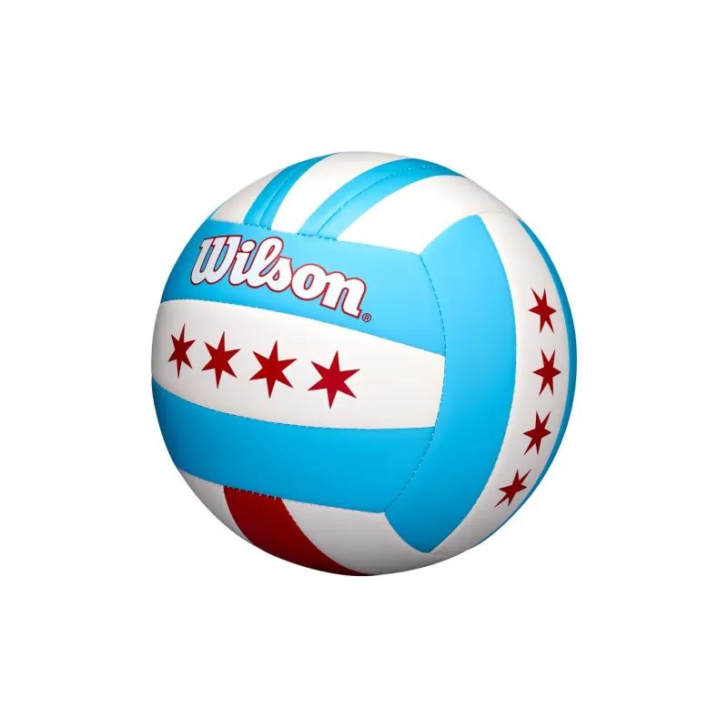 Wilson Volleyball-1