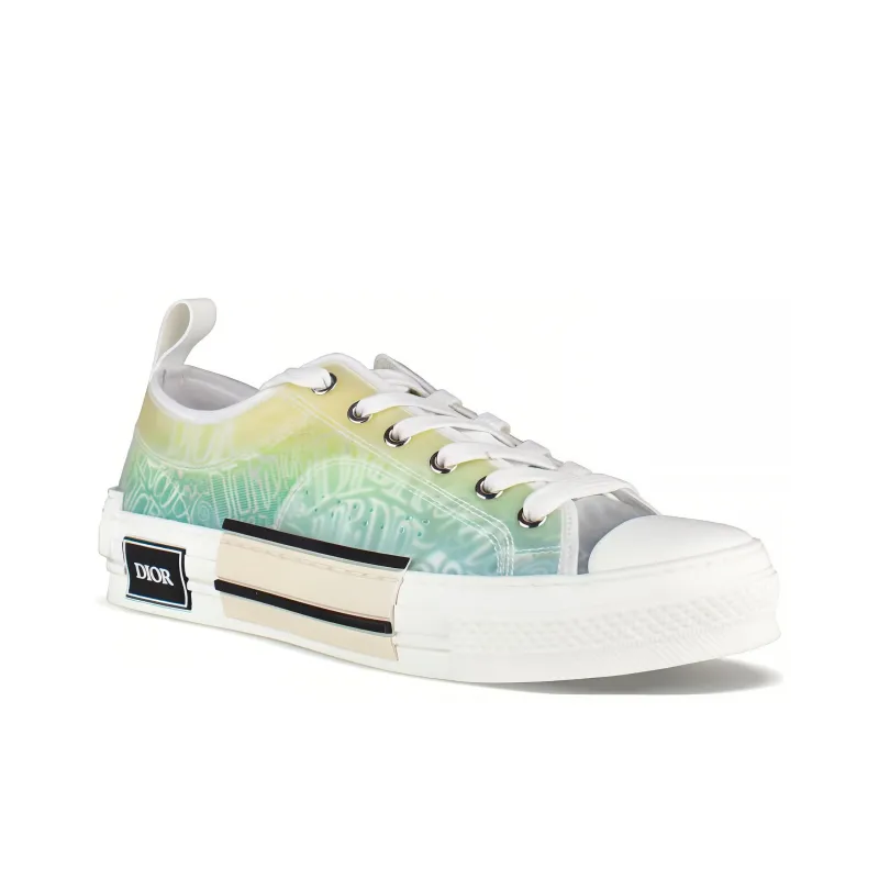 DIOR And Shawn B23 Low Top-2