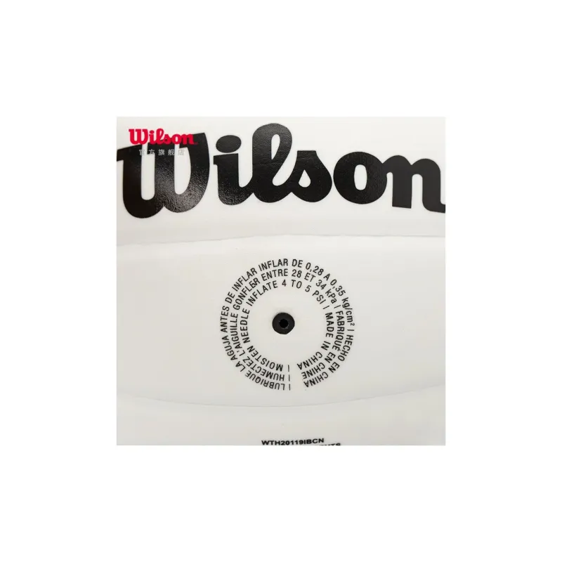 Wilson Volleyball-4