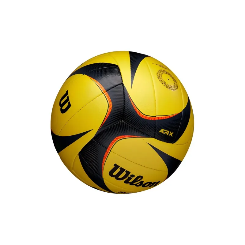 Wilson Volleyball-2