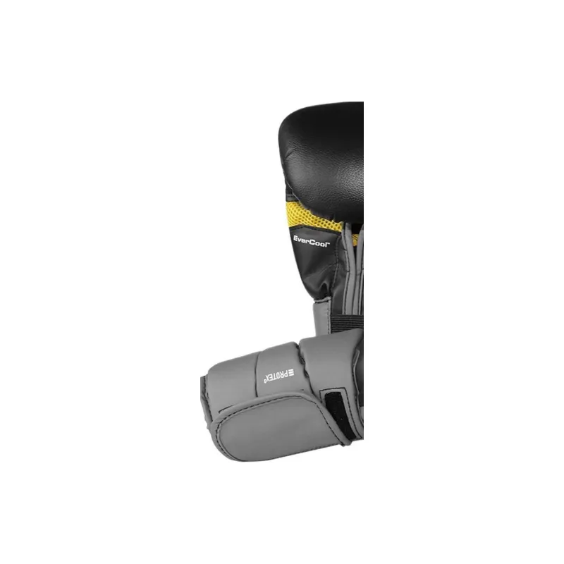 Everlast Boxing Gloves-3