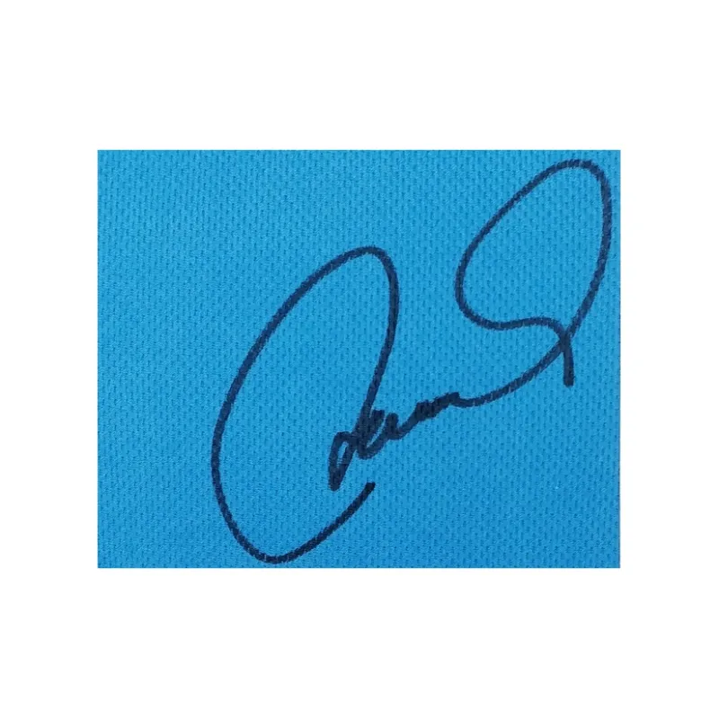 Three For Bird Nest Sandstone FC Fernando Torres Signed Soccer Apparel Jersey Includes SA Certificate Framed Collection-4