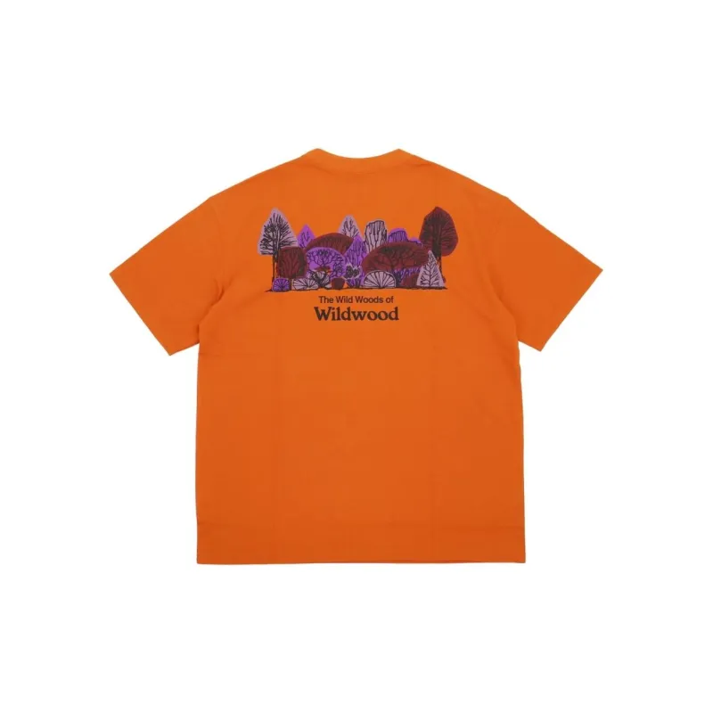 Nike Acg Wildwood T shirt-1