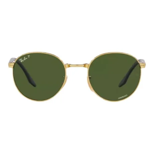 RayBan Erik Round frame Sunglasses