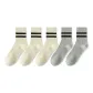 White 3-Gray 2[5 Pack]