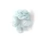 Blue Rose