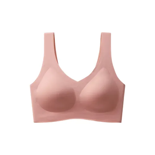 Lanza Women's Bras