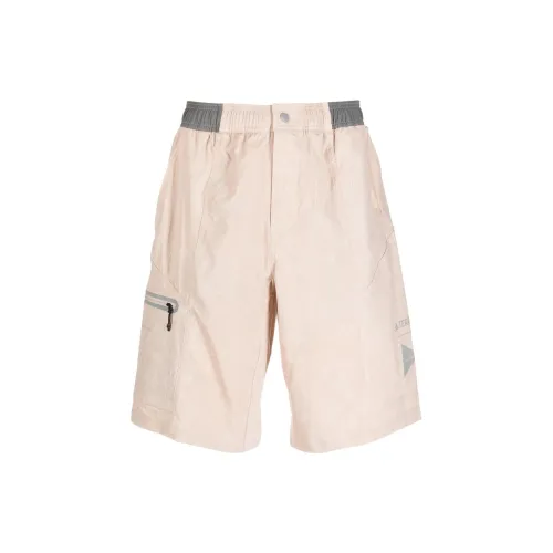 Adidas Terrex Straight-leg Shorts