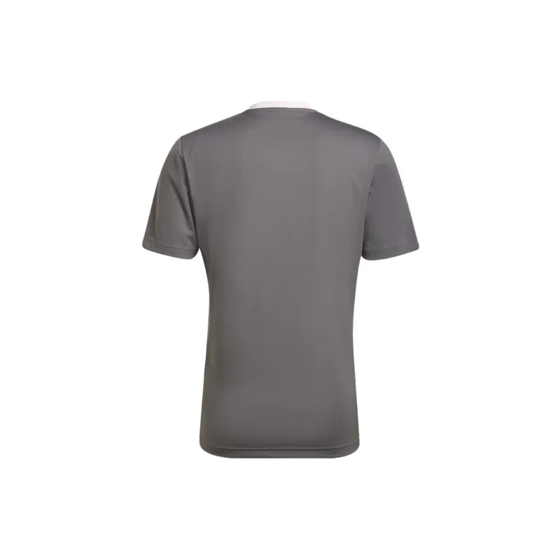 Adidas Entrada 22 T-Shirts Men Lead-1