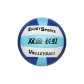 Classic, Double Fish Volleyball SY006