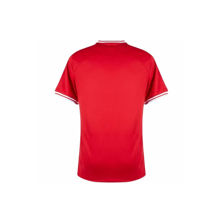 Nike Poland 2022/23 Stadium Away Jersey-1