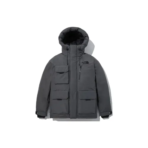 THE NORTH FACE Down Jackets Men Charcoal Gray