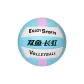 Double Fish SY005 (Training Volleyball)