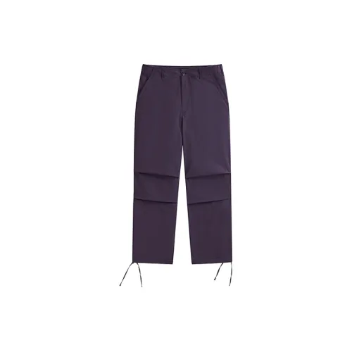 PEACEBIRD MEN Casual Pants Men Purple First Batch Straight Fit