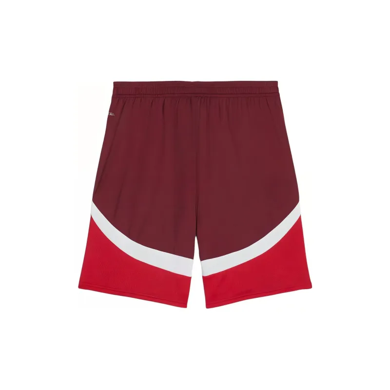 PUMA Switzerland Men's Replica Football Shorts Sports Shorts Men's Red-1