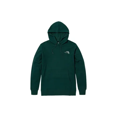 THE NORTH FACE Branding Logo Hoodie 'Teal'