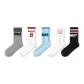 American Letter Trendy Socks C Set-5 Pack