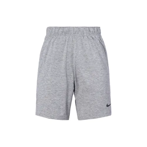 Nike Sports Shorts Men Gray